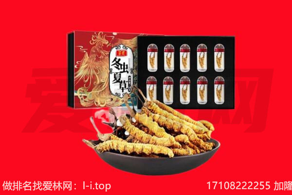 吴忠市青铜峡回收虫草.jpg